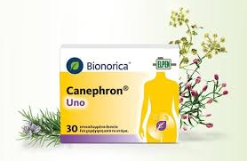 Canephron® Uno 60 viên - Thuốc thảo dược hỗ trợ điều trị viêm bàng quang và nhiễm đường tiết niệu