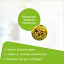 Hametum Zäpfchen 25 viên - Thuốc đặt ban đêm điều trị trĩ cấp tính giúp giảm đau và điều trị lâu dài