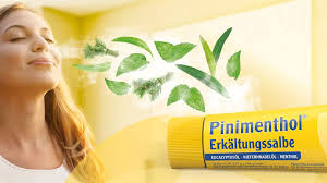 Pinimenthol® Erkältungssalbe 50g - Thuốc thảo dược điều trị triệu chứng cảm lạnh và bệnh đường hô hấp