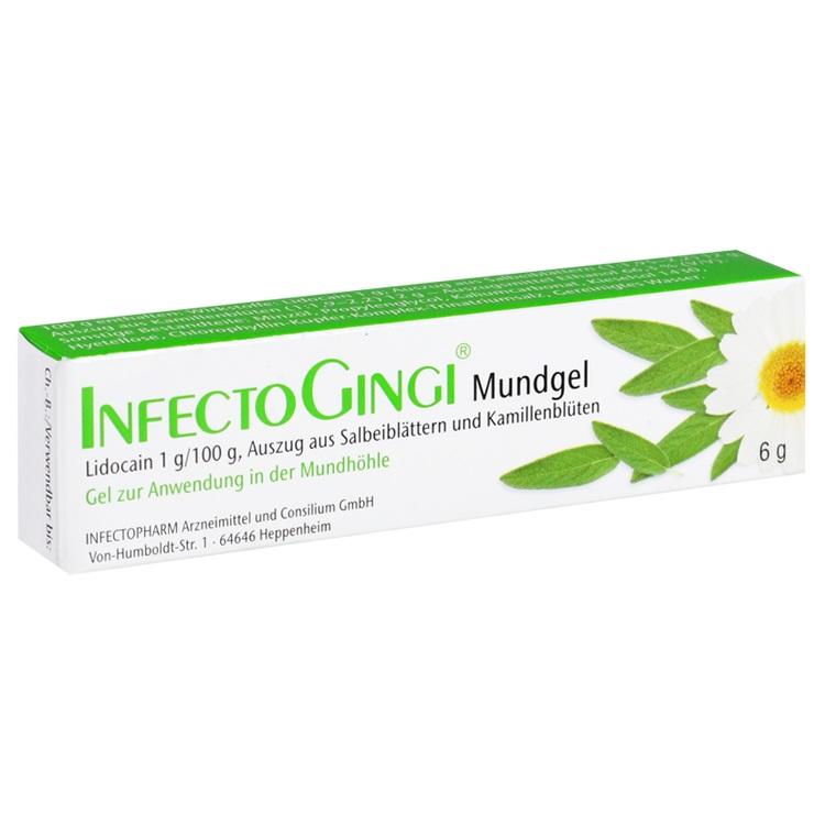 InfectoGingi® Mundgel - Thuốc bôi điều trị viêm lợi và niêm mạc miệng